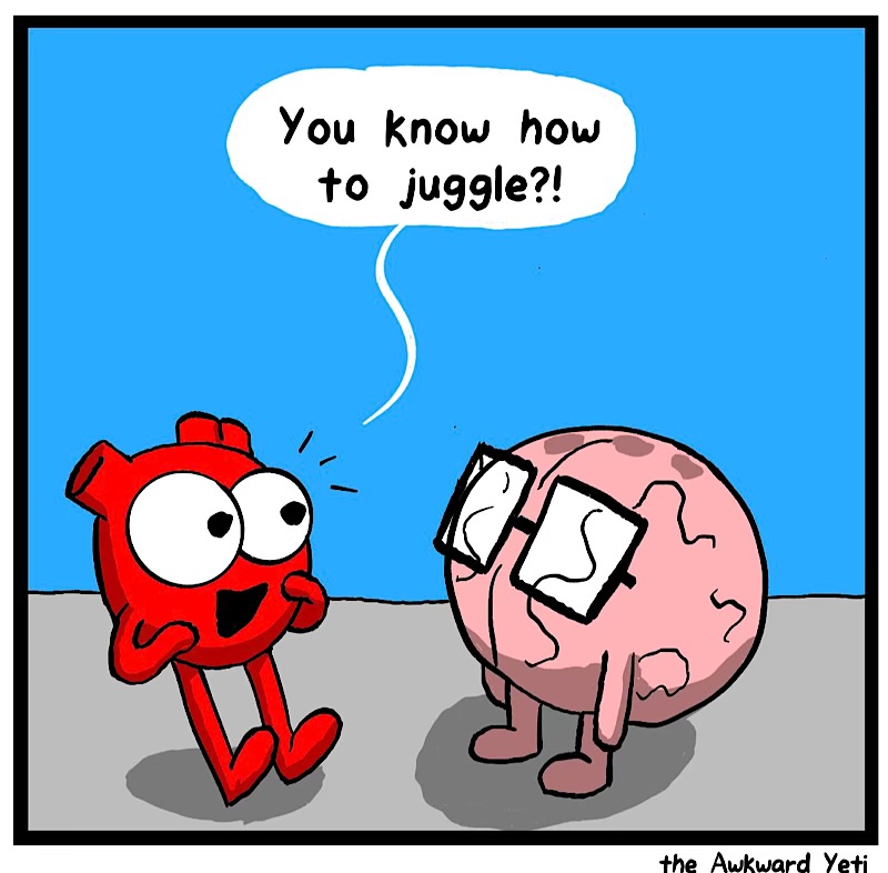 https://cdn.tinyview.com/heart-and-brain/2026/08/31/adult-responsibilities/IMG_6103-compressed.jpeg