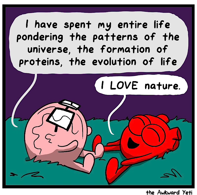 https://cdn.tinyview.com/heart-and-brain/2026/09/03/big-ol-universe/IMG_6130-compressed.jpeg