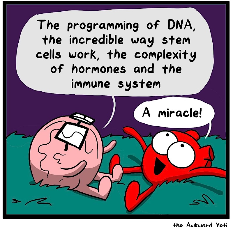 https://cdn.tinyview.com/heart-and-brain/2026/09/03/big-ol-universe/IMG_6131-compressed.jpeg