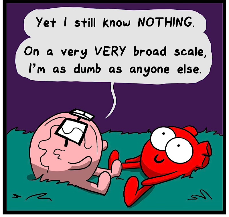 https://cdn.tinyview.com/heart-and-brain/2026/09/03/big-ol-universe/IMG_6133-compressed.jpeg