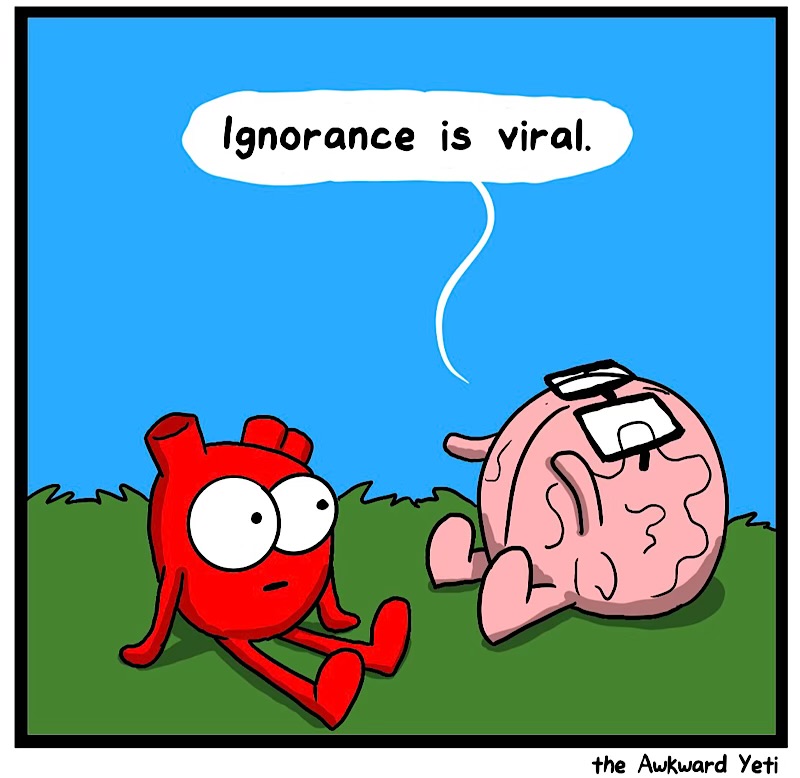 https://cdn.tinyview.com/heart-and-brain/2026/09/07/minority-opinion/IMG_6226-compressed.jpeg
