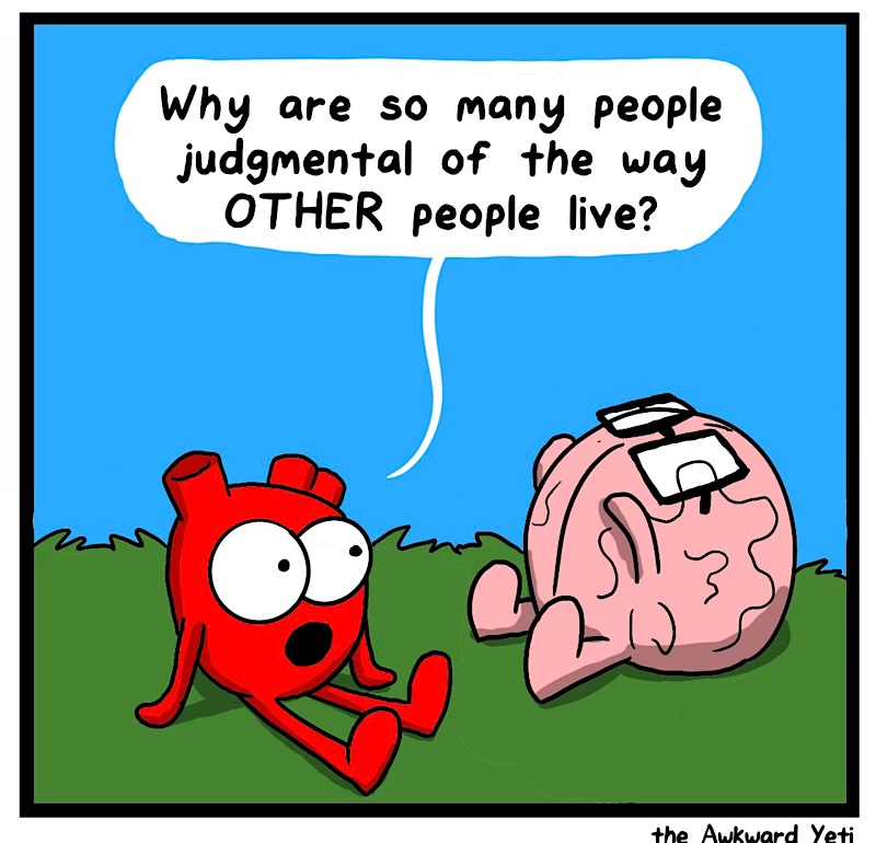 https://cdn.tinyview.com/heart-and-brain/2026/09/07/minority-opinion/IMG_6227-compressed.jpeg