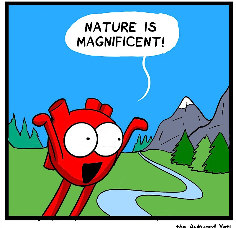 https://cdn.tinyview.com/heart-and-brain/2026/09/09/must-not-succumb/IMG_6253-compressed.jpeg