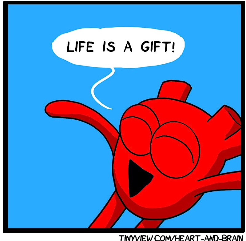 https://cdn.tinyview.com/heart-and-brain/2026/09/09/must-not-succumb/IMG_6254-compressed.jpeg