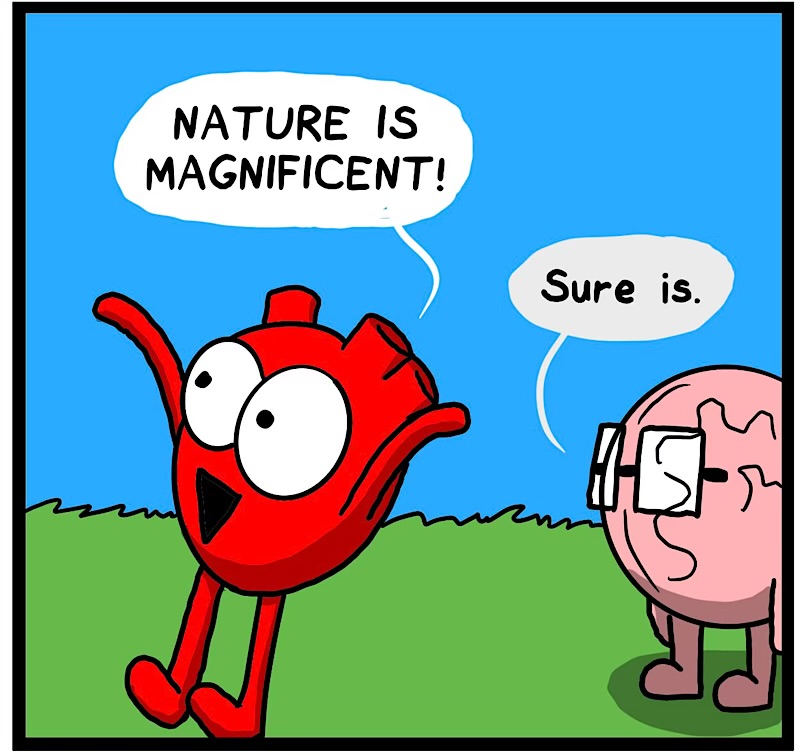 https://cdn.tinyview.com/heart-and-brain/2026/09/09/must-not-succumb/IMG_6256-compressed.jpeg