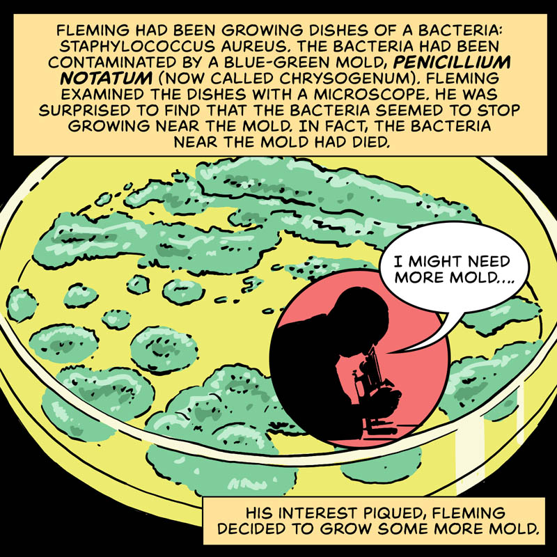 https://cdn.tinyview.com/in-science-we-trust/2025/03/17/who-discovered-penicillin/penicillin-03.jpg