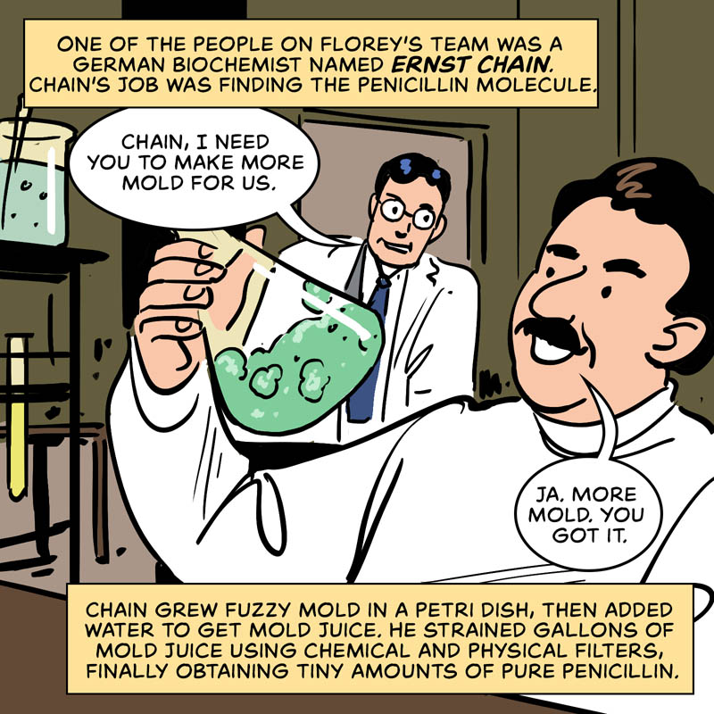 https://cdn.tinyview.com/in-science-we-trust/2025/03/17/who-discovered-penicillin/penicillin-07.jpg
