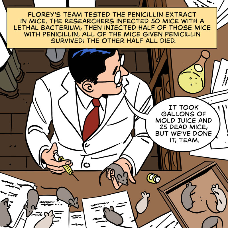 https://cdn.tinyview.com/in-science-we-trust/2025/03/17/who-discovered-penicillin/penicillin-08.jpg