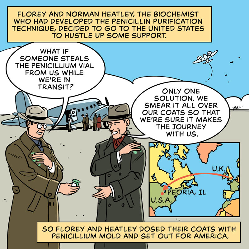 https://cdn.tinyview.com/in-science-we-trust/2025/03/17/who-discovered-penicillin/penicillin-14.jpg