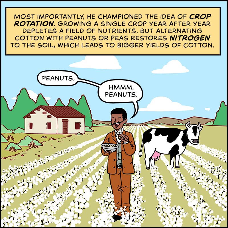 https://cdn.tinyview.com/in-science-we-trust/george-washington-carver/carver-15-crop-rotation.jpg