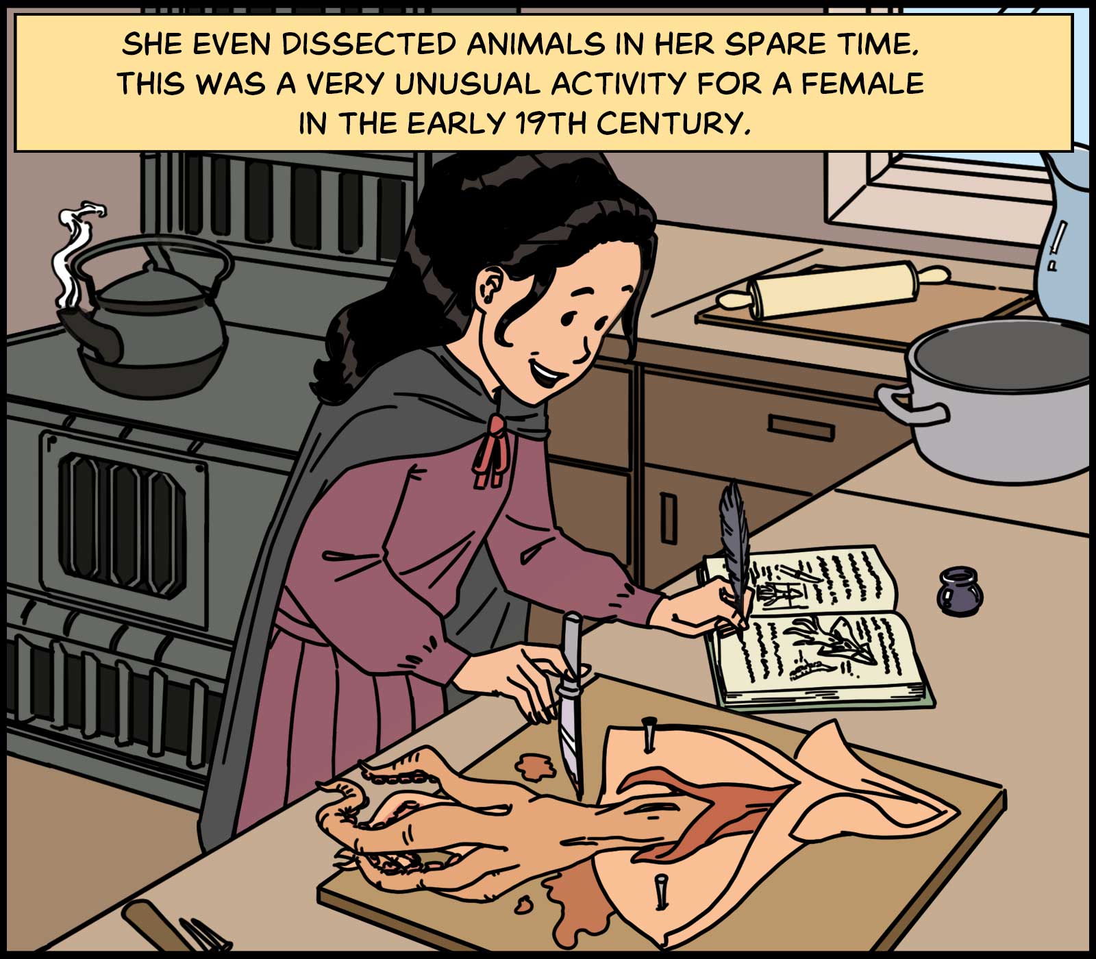 https://cdn.tinyview.com/in-science-we-trust/mary-anning/mary-dissection.jpg