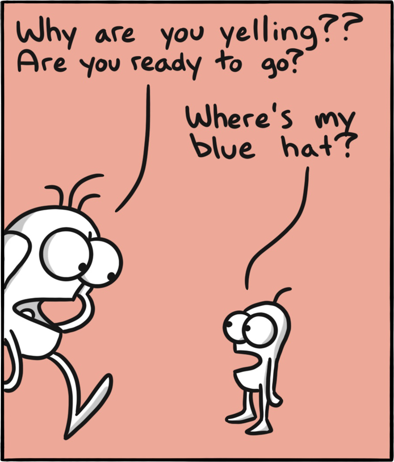 https://cdn.tinyview.com/itchy-feet/2020/2020-12-06-evident-maturation/2.jpg
