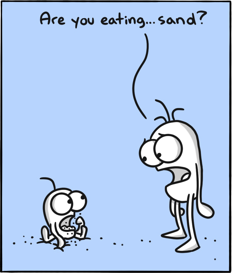 https://cdn.tinyview.com/itchy-feet/2020/2020-12-20-adventurous-eating/2.jpg