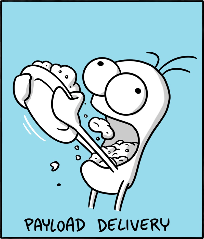 https://cdn.tinyview.com/itchy-feet/2021/2021-01-03-three-course/8.jpg