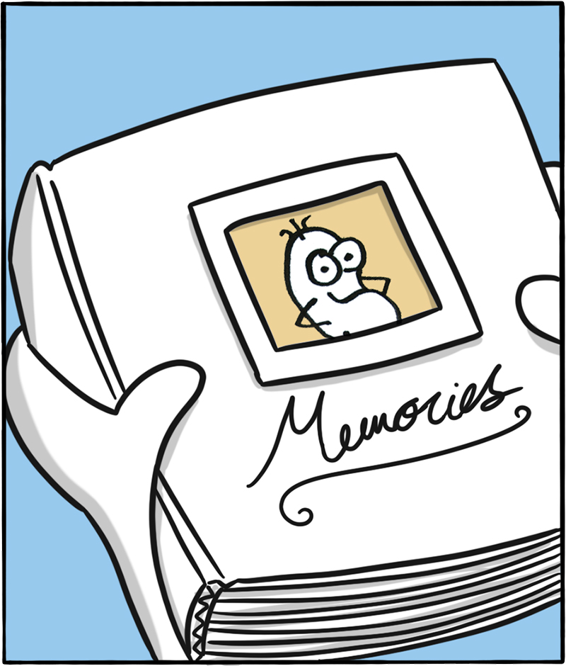 https://cdn.tinyview.com/itchy-feet/2021/2021-01-31-surprising-decade/1.jpg