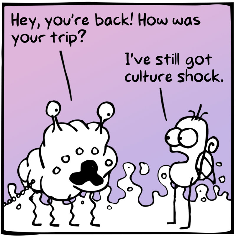 https://cdn.tinyview.com/itchy-feet/2024/01/30/startling-return/3_2.jpg