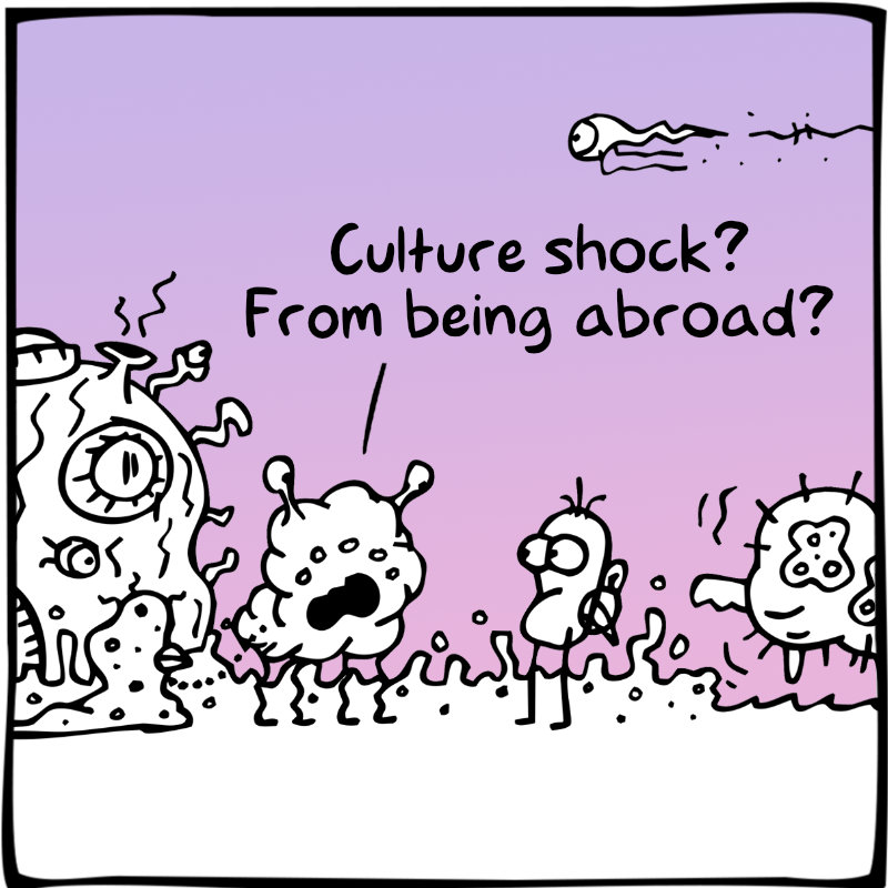 https://cdn.tinyview.com/itchy-feet/2024/01/30/startling-return/4_2.jpg