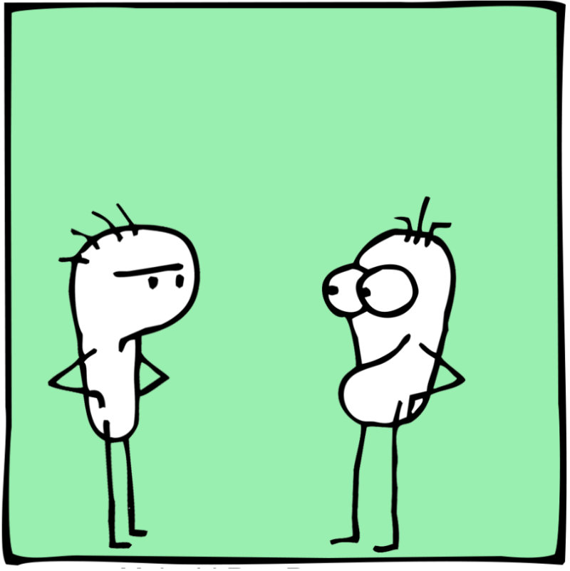 https://cdn.tinyview.com/itchy-feet/2024/02/13/slavic-inflection/7_2.jpg