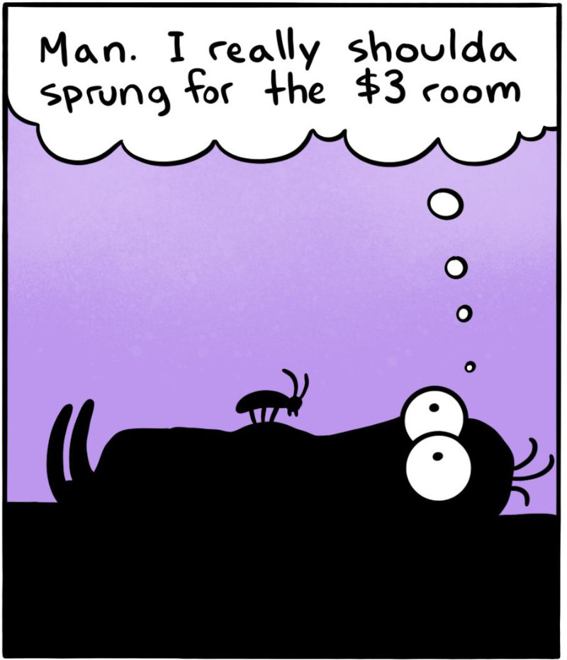 https://cdn.tinyview.com/itchy-feet/2024/03/05/thrift-remorse/6_2.jpg