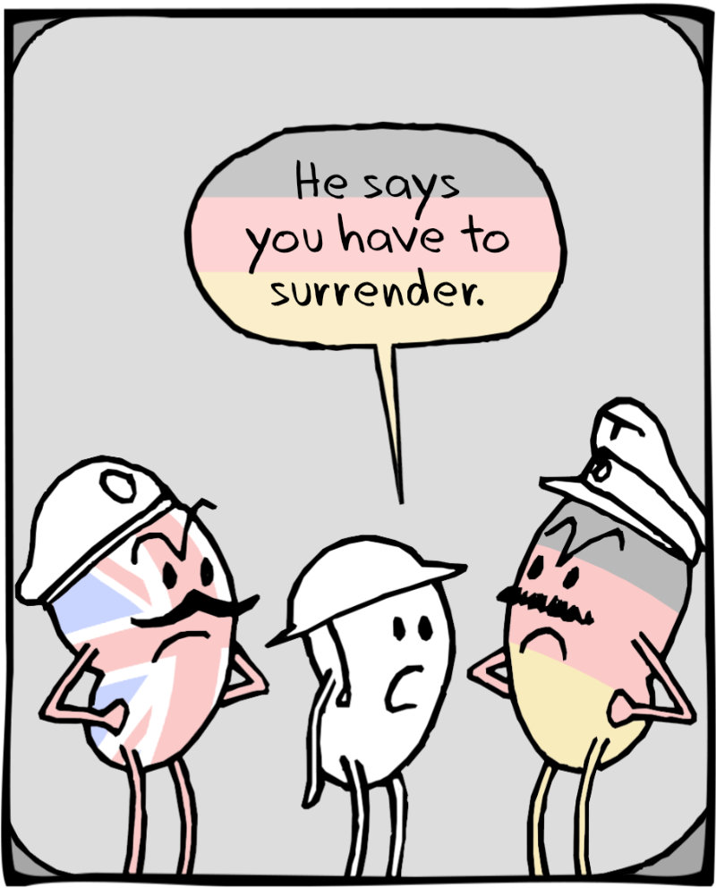 https://cdn.tinyview.com/itchy-feet/2024/03/21/pointless-translation/3.jpg