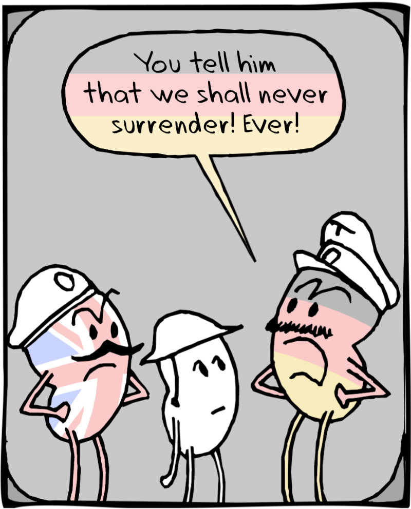 https://cdn.tinyview.com/itchy-feet/2024/03/21/pointless-translation/4.jpg