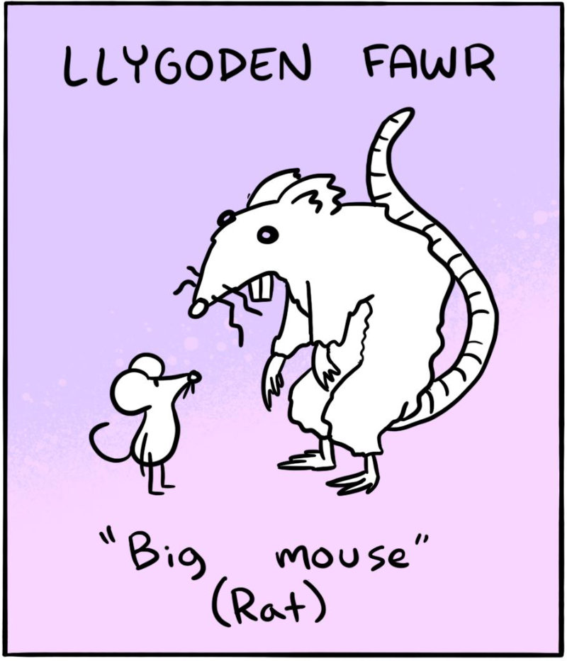 https://cdn.tinyview.com/itchy-feet/2024/06/18/popty-ping/2_2.jpg