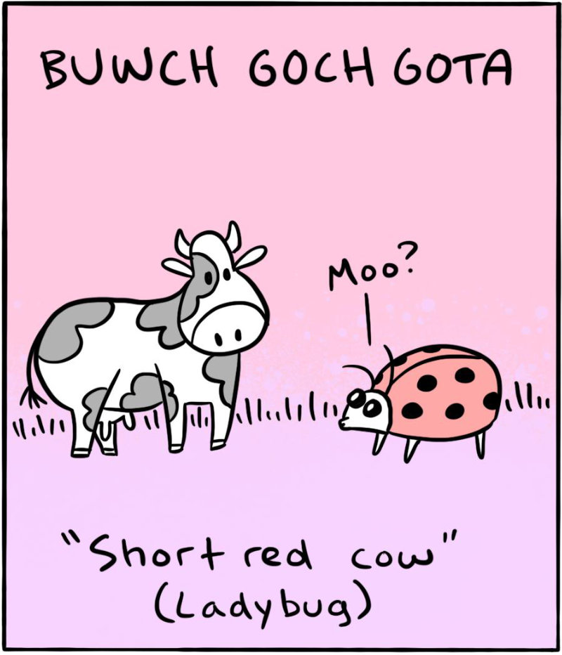 https://cdn.tinyview.com/itchy-feet/2024/06/18/popty-ping/4_2.jpg