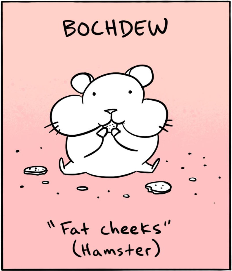 https://cdn.tinyview.com/itchy-feet/2024/06/18/popty-ping/5_2.jpg