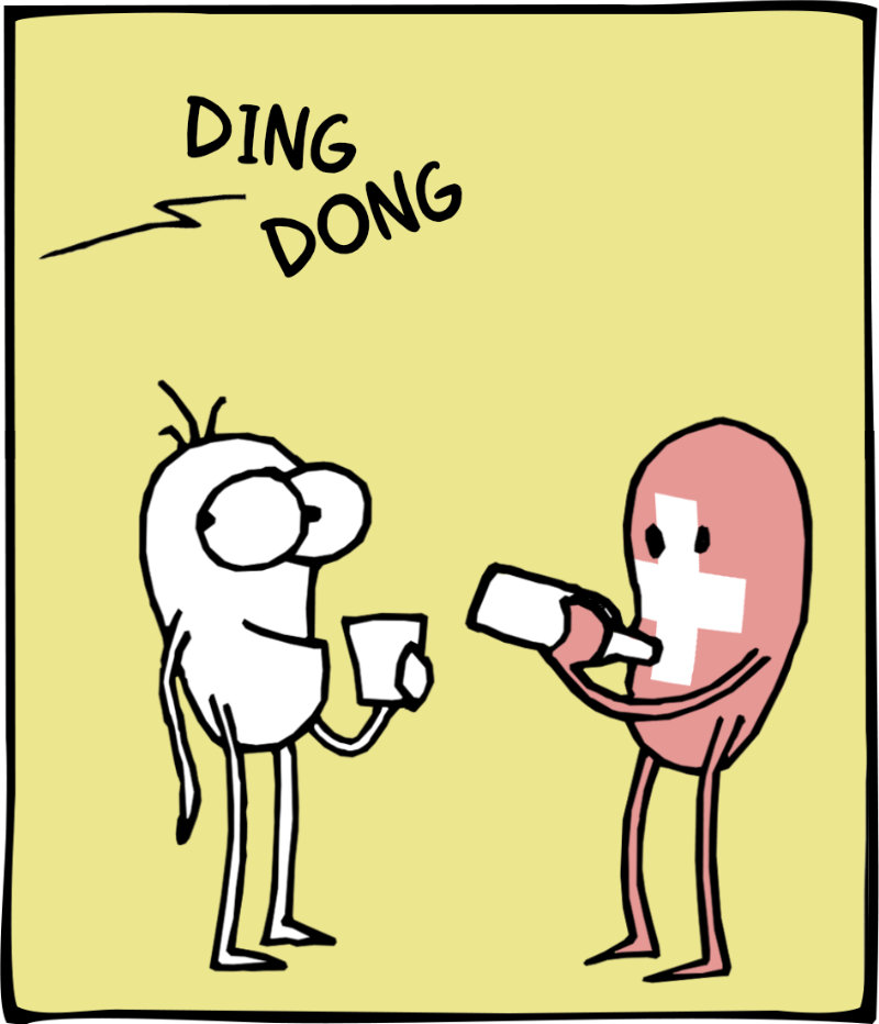 https://cdn.tinyview.com/itchy-feet/2024/07/09/punctuality/3_2.jpg