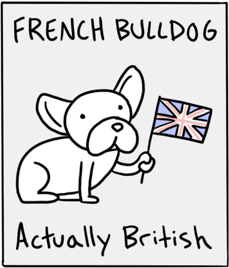 https://cdn.tinyview.com/itchy-feet/2024/09/19/le-un-franais/7.jpg