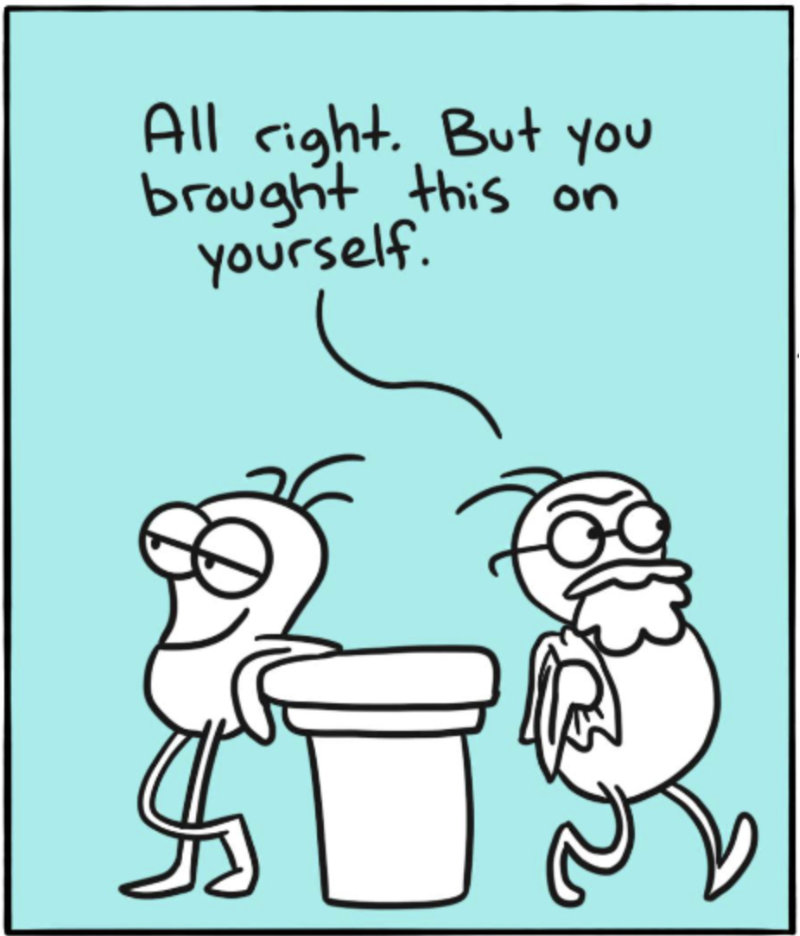 https://cdn.tinyview.com/itchy-feet/2024/10/24/neat-or-die/5.jpg