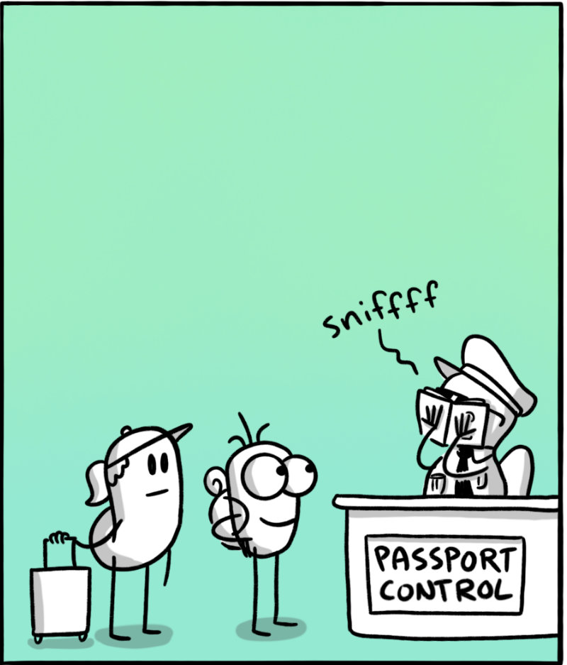 https://cdn.tinyview.com/itchy-feet/2026/08/21/smell-test/2.2.jpg