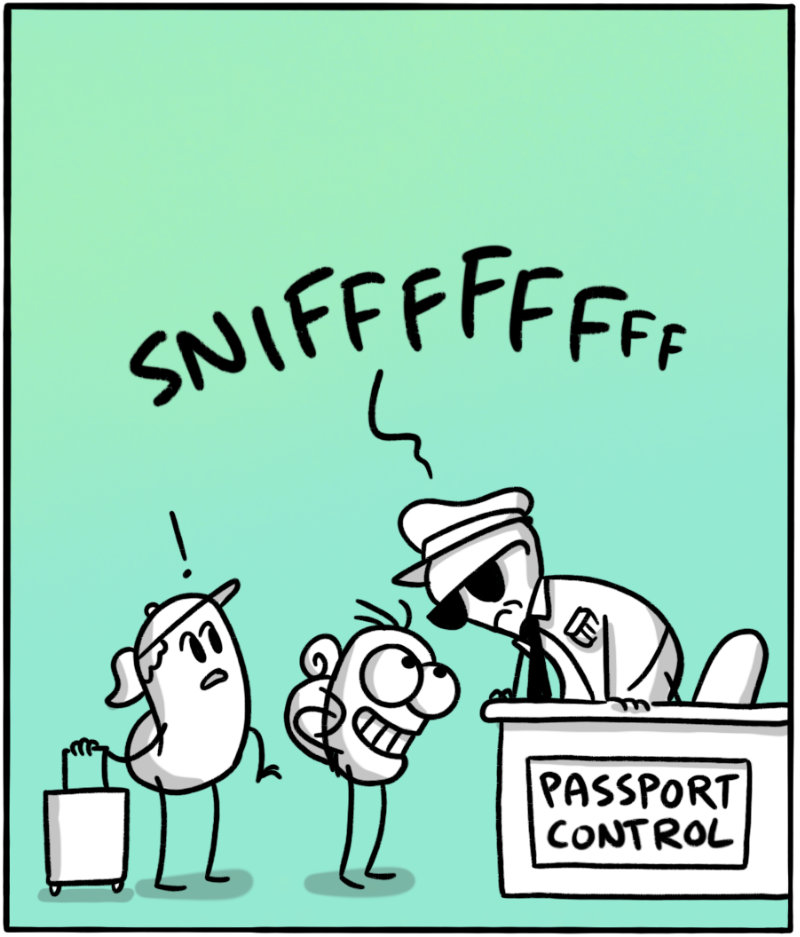 https://cdn.tinyview.com/itchy-feet/2026/08/21/smell-test/3.jpg