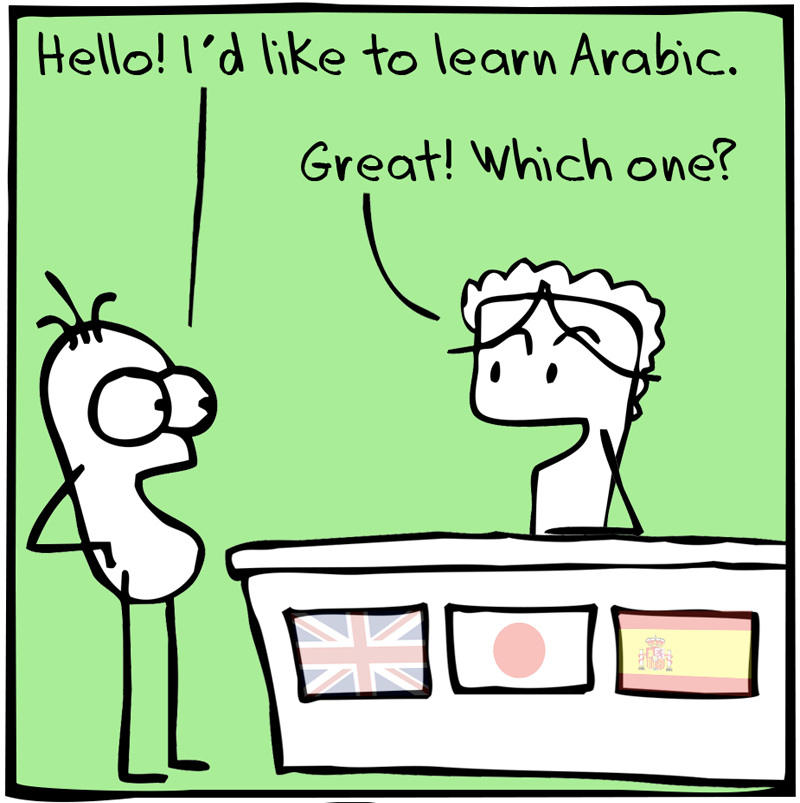 https://cdn.tinyview.com/itchy-feet/the-very-best-of-language-learning/2014-10-19-vanilla-arabic/2.jpg