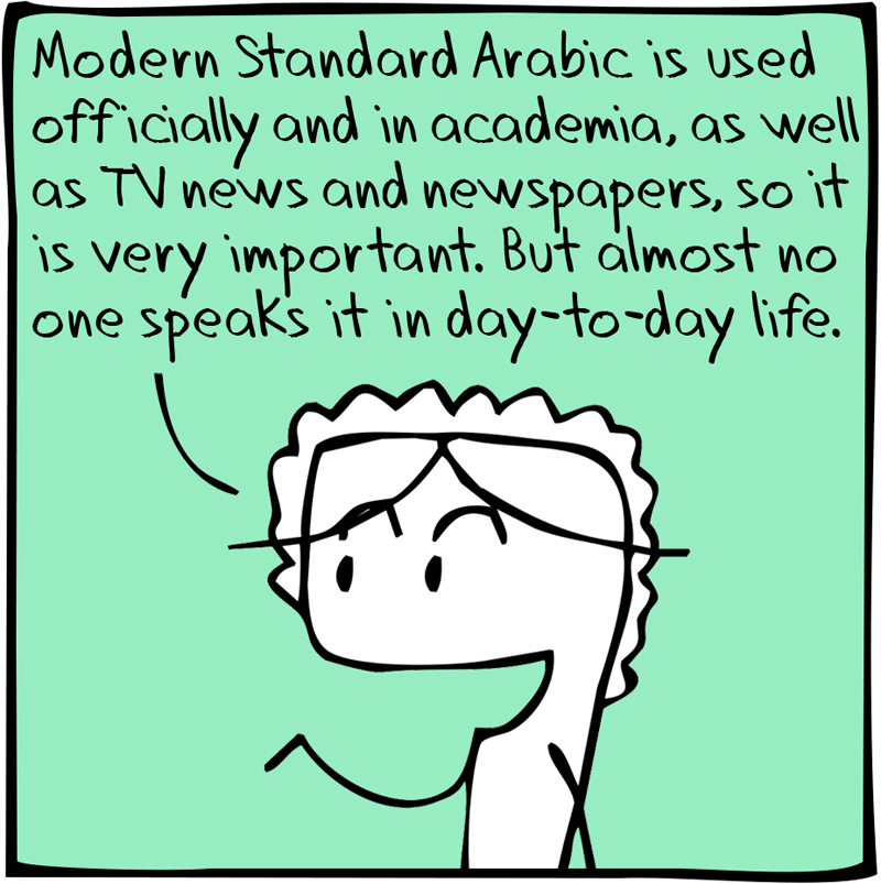 https://cdn.tinyview.com/itchy-feet/the-very-best-of-language-learning/2014-10-19-vanilla-arabic/4.jpg