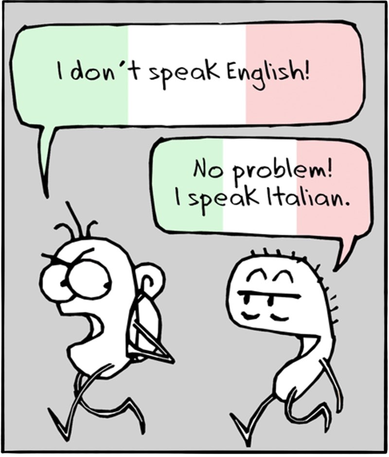 https://cdn.tinyview.com/itchy-feet/the-very-best-of-language-learning/2016-10-09-potent-repellent/2.jpg