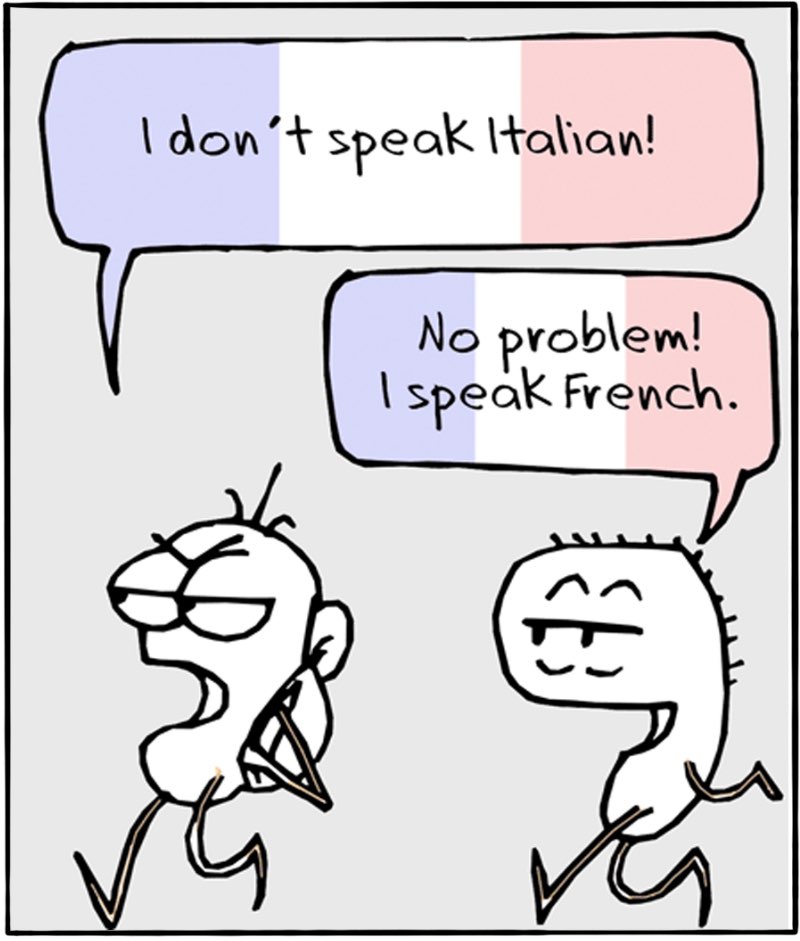 https://cdn.tinyview.com/itchy-feet/the-very-best-of-language-learning/2016-10-09-potent-repellent/3.jpg