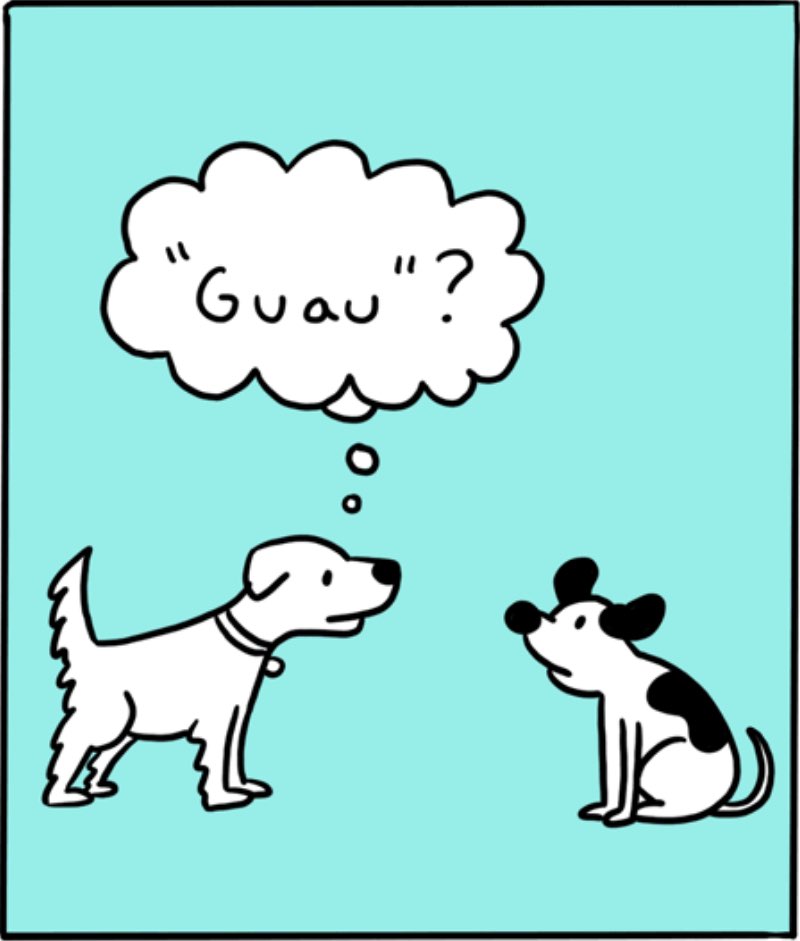 https://cdn.tinyview.com/itchy-feet/the-very-best-of-language-learning/2017-10-29-barque-barkh/2.jpg