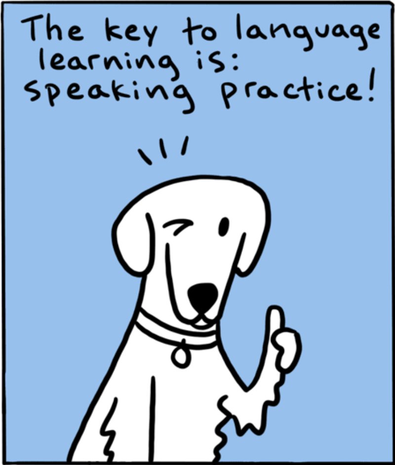 https://cdn.tinyview.com/itchy-feet/the-very-best-of-language-learning/2017-10-29-barque-barkh/4.jpg