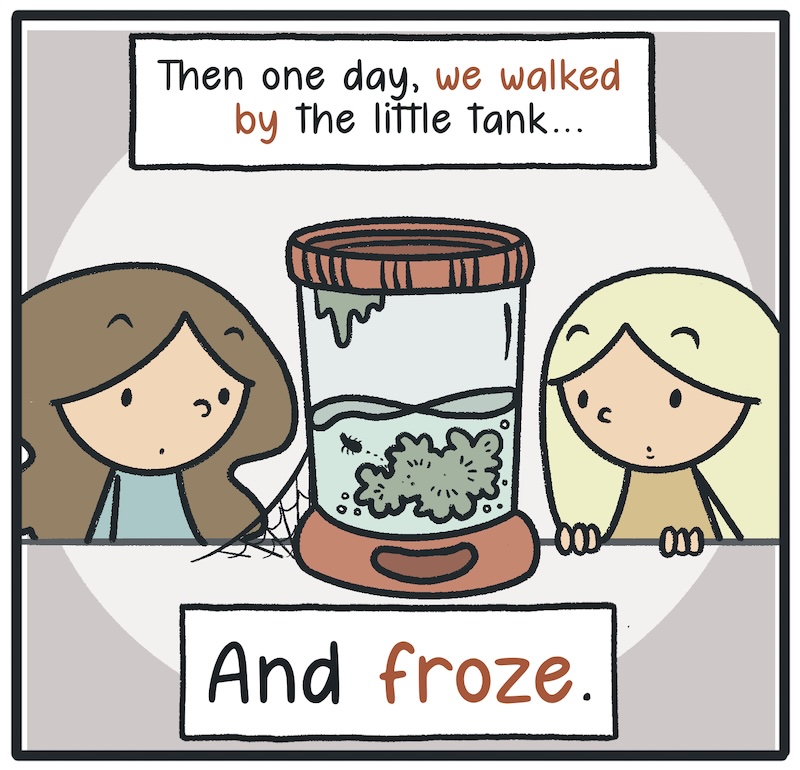 https://cdn.tinyview.com/kowal-comics/2026/08/06/the-radioactive-sea-monkey/Kowal-Comics-Ep-18-Panel-10.jpg