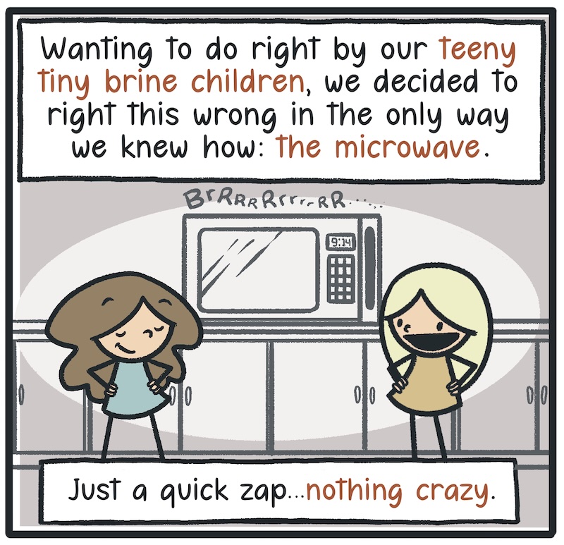https://cdn.tinyview.com/kowal-comics/2026/08/06/the-radioactive-sea-monkey/Kowal-Comics-Ep-18-Panel-7.jpg