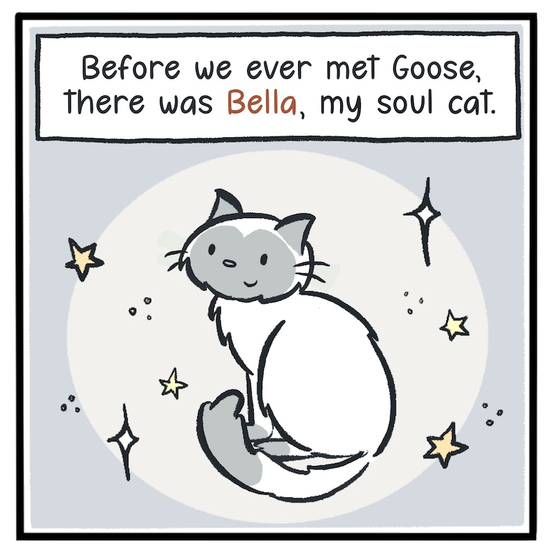 https://cdn.tinyview.com/kowal-comics/2026/09/24/bella-part-1-of-5/Kowal-Comics-Ep-32-Panel-1.jpg