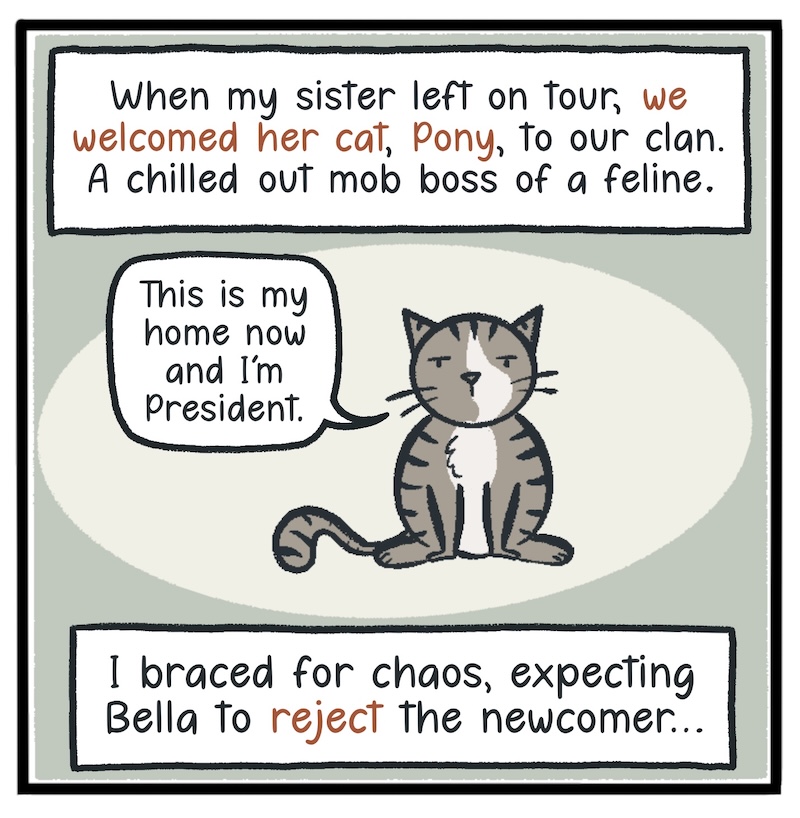 https://cdn.tinyview.com/kowal-comics/2026/09/24/bella-part-2-of-5/Kowal-Comics-Ep-33-Panel-2.jpg