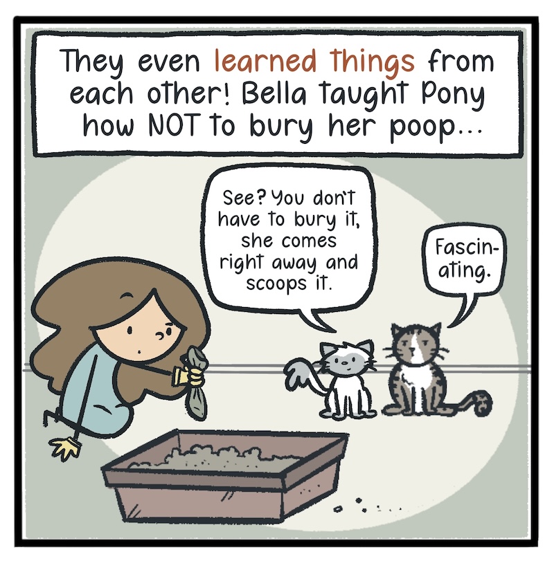 https://cdn.tinyview.com/kowal-comics/2026/09/24/bella-part-2-of-5/Kowal-Comics-Ep-33-Panel-4.jpg