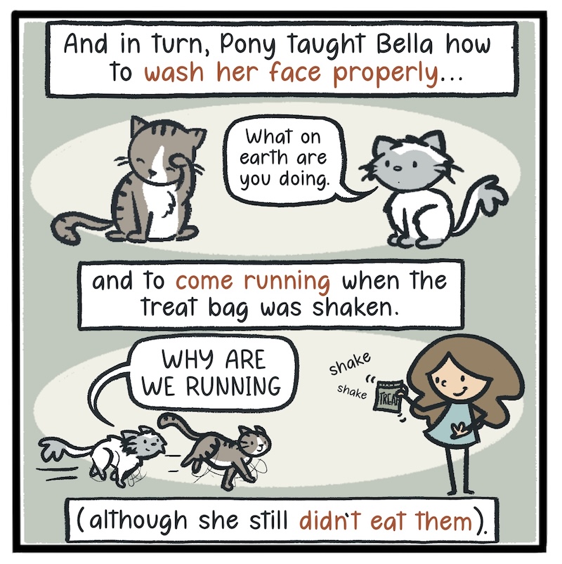 https://cdn.tinyview.com/kowal-comics/2026/09/24/bella-part-2-of-5/Kowal-Comics-Ep-33-Panel-5.jpg