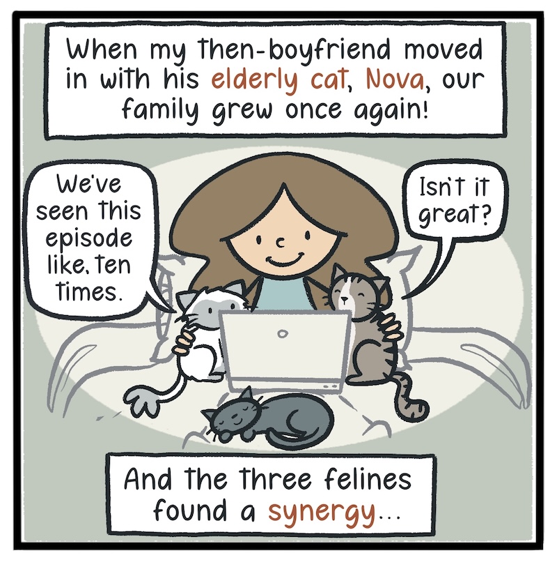 https://cdn.tinyview.com/kowal-comics/2026/09/24/bella-part-2-of-5/Kowal-Comics-Ep-33-Panel-6.jpg