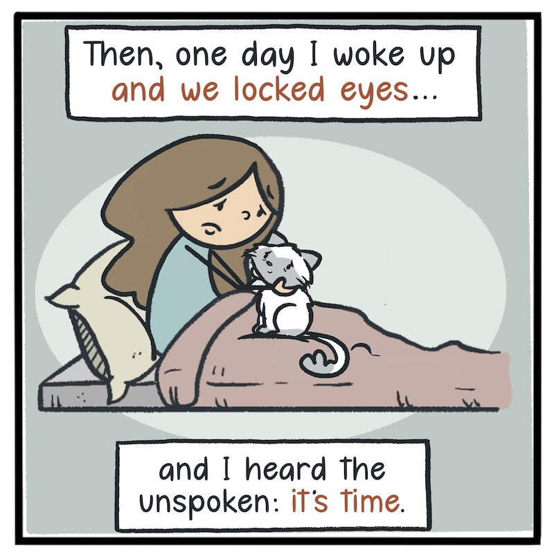 https://cdn.tinyview.com/kowal-comics/2026/09/24/bella-part-4-of-5/Kowal-Comics-Ep-35-Panel-5.jpg