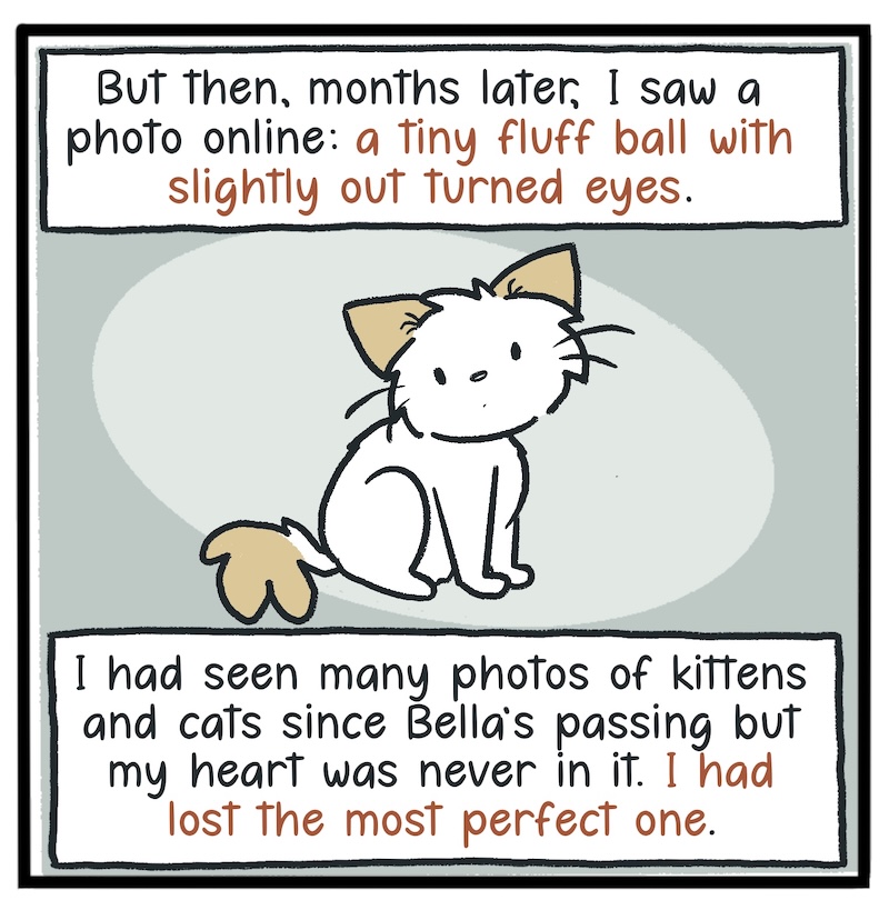 https://cdn.tinyview.com/kowal-comics/2026/09/24/bella-part-4-of-5/Kowal-Comics-Ep-35-Panel-8.jpg