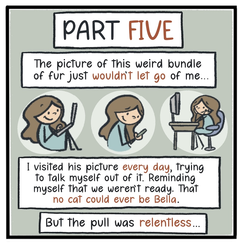 https://cdn.tinyview.com/kowal-comics/2026/09/24/bella-part-5-of-5/Kowal-Comics-Ep-36-Panel-1.jpg