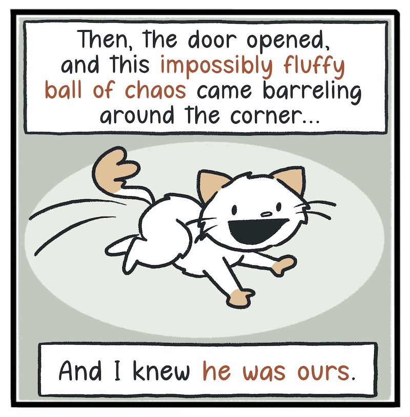 https://cdn.tinyview.com/kowal-comics/2026/09/24/bella-part-5-of-5/Kowal-Comics-Ep-36-Panel-3.jpg